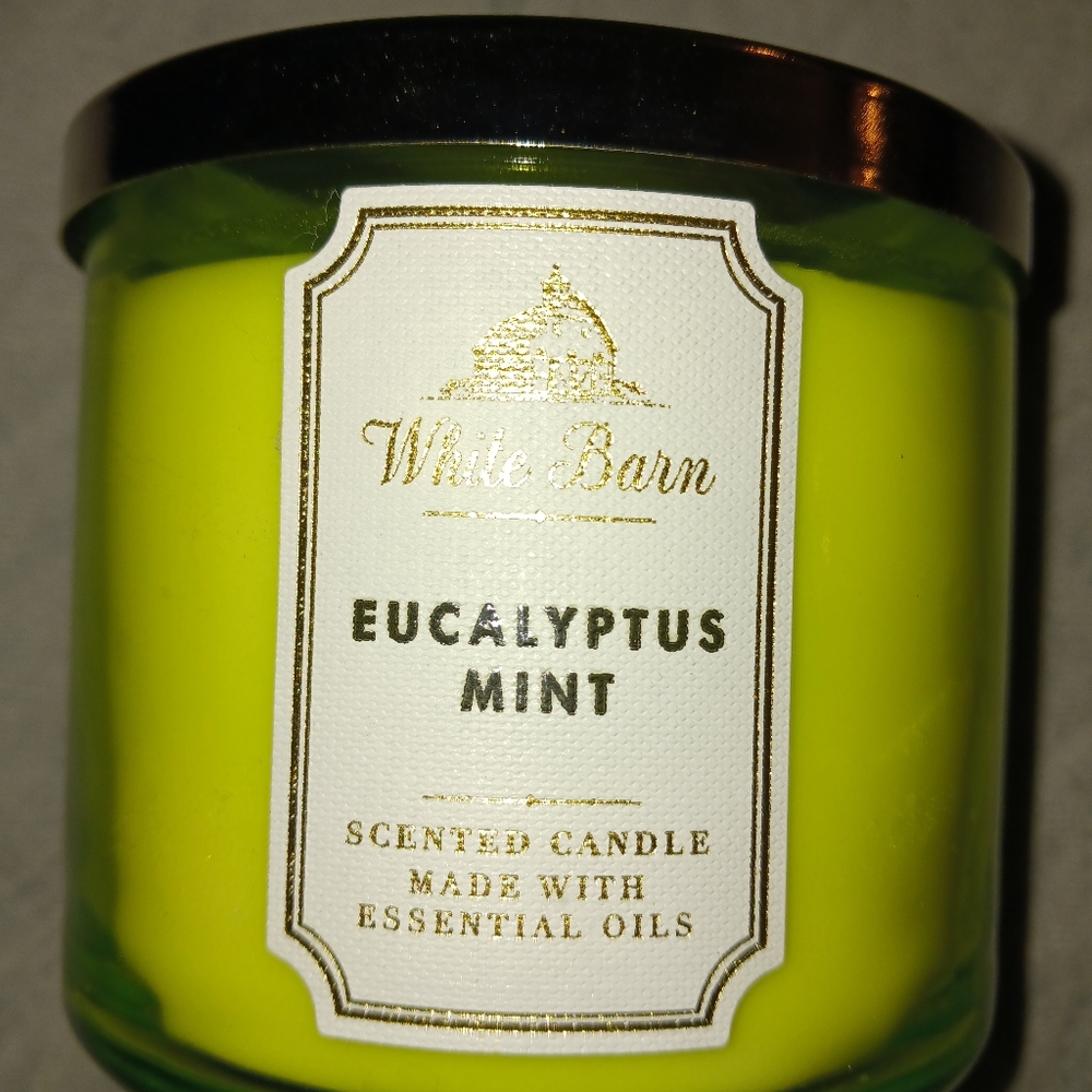 NEW! 3 Wick White Barn Eucalyptus Mint Candle